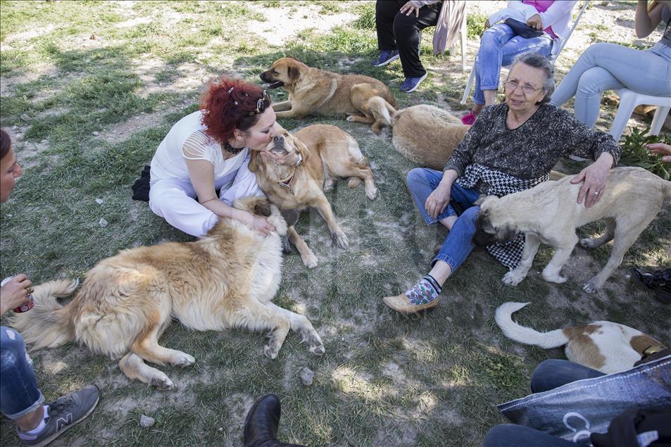 Hayvansever çiftten barınakta düğün