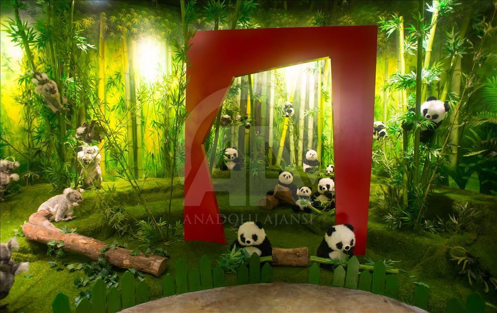 Universal Magic World in Guangzhou