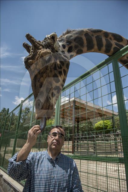 Müzmin bekar Şakir"e aranan eş bulundu