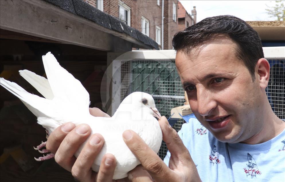 Çorum güvercinleri kanat çırpmadan New York’a ulaştı