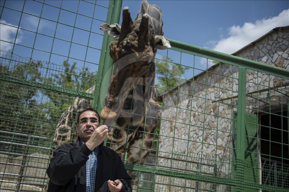 Müzmin bekar Şakir"e aranan eş bulundu