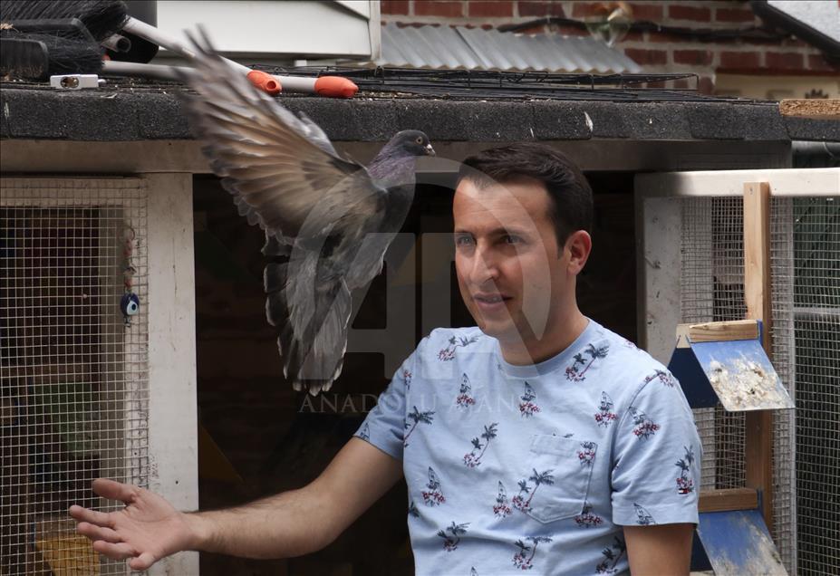 Çorum güvercinleri kanat çırpmadan New York’a ulaştı