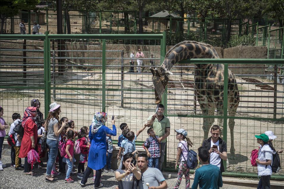 Müzmin bekar Şakir"e aranan eş bulundu