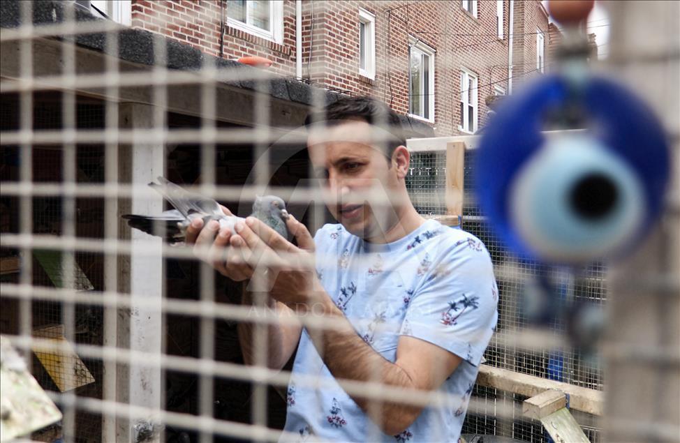 Çorum güvercinleri kanat çırpmadan New York’a ulaştı