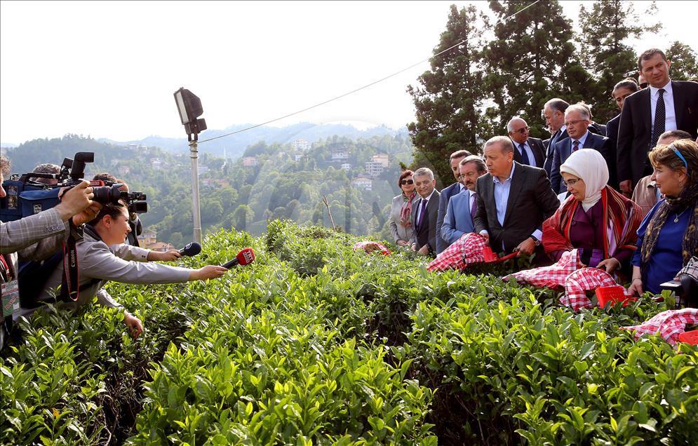 Cumhurbaşkanı Erdoğan Rize'de