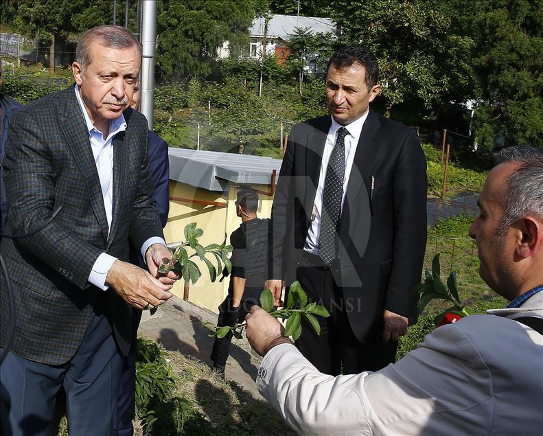 Cumhurbaşkanı Erdoğan Rize'de