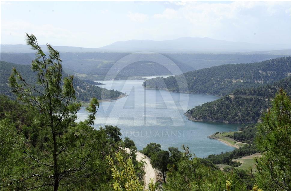 Adıgüzel Barajı kuşlarla cıvıl cıvıl