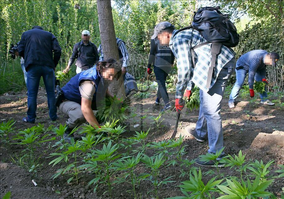 Diyarbakır'da uyuşturucu operasyonu