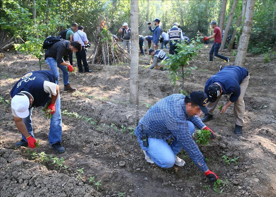 Diyarbakır'da uyuşturucu operasyonu