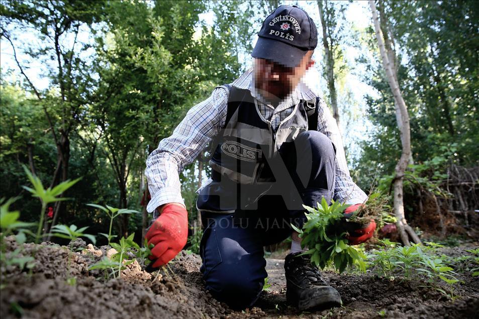 Diyarbakır'da uyuşturucu operasyonu