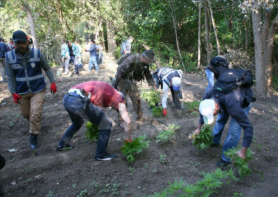 Diyarbakır'da uyuşturucu operasyonu