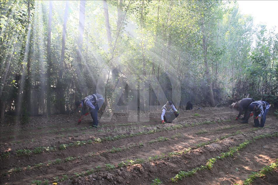 Diyarbakır'da uyuşturucu operasyonu
