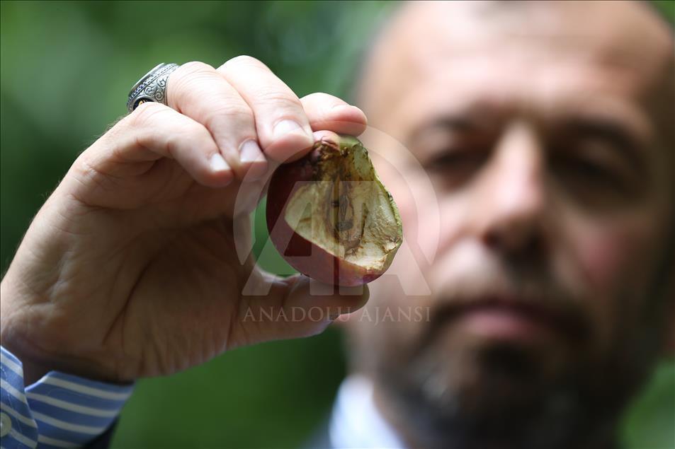 "Deveci" ve "Santa Maria"yı dolu vurdu