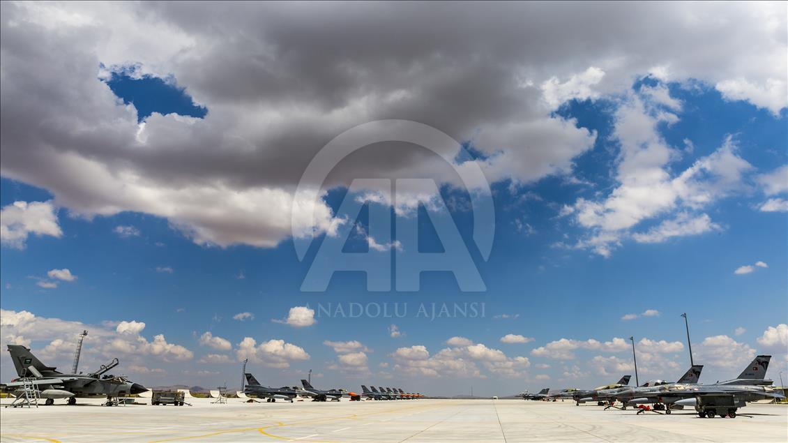 Anadolu Kartalı-2016/1 Eğitimi
