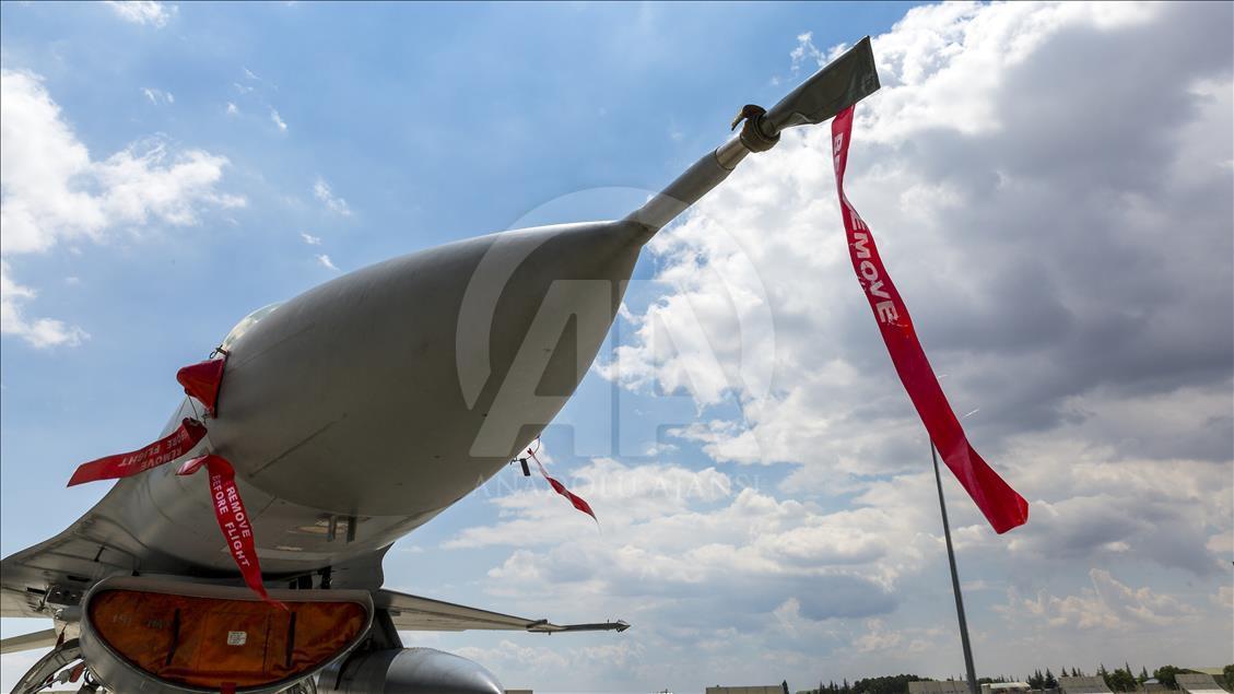 Anadolu Kartalı-2016/1 Eğitimi
