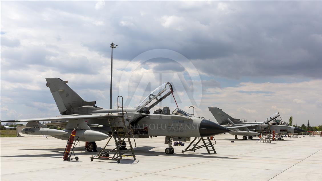 Anadolu Kartalı-2016/1 Eğitimi
