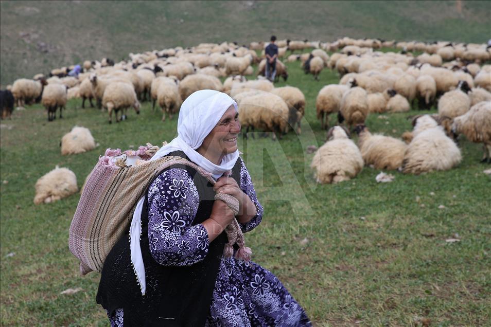 "Berivan"ların zorlu yayla mesaisi