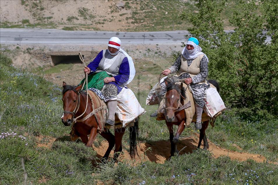 "Berivan"ların zorlu yayla mesaisi