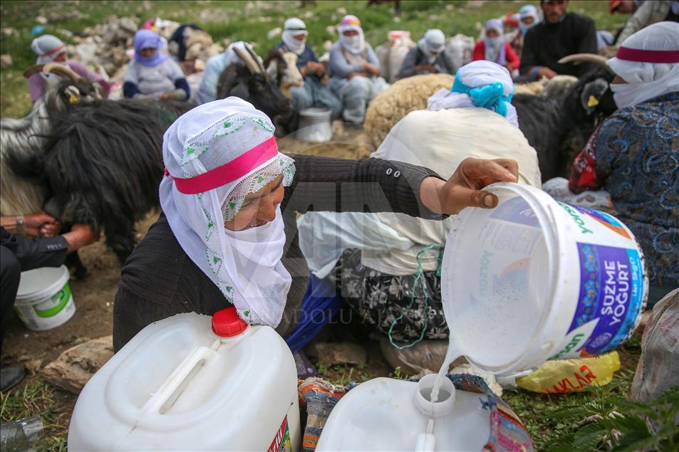 "Berivan"ların zorlu yayla mesaisi