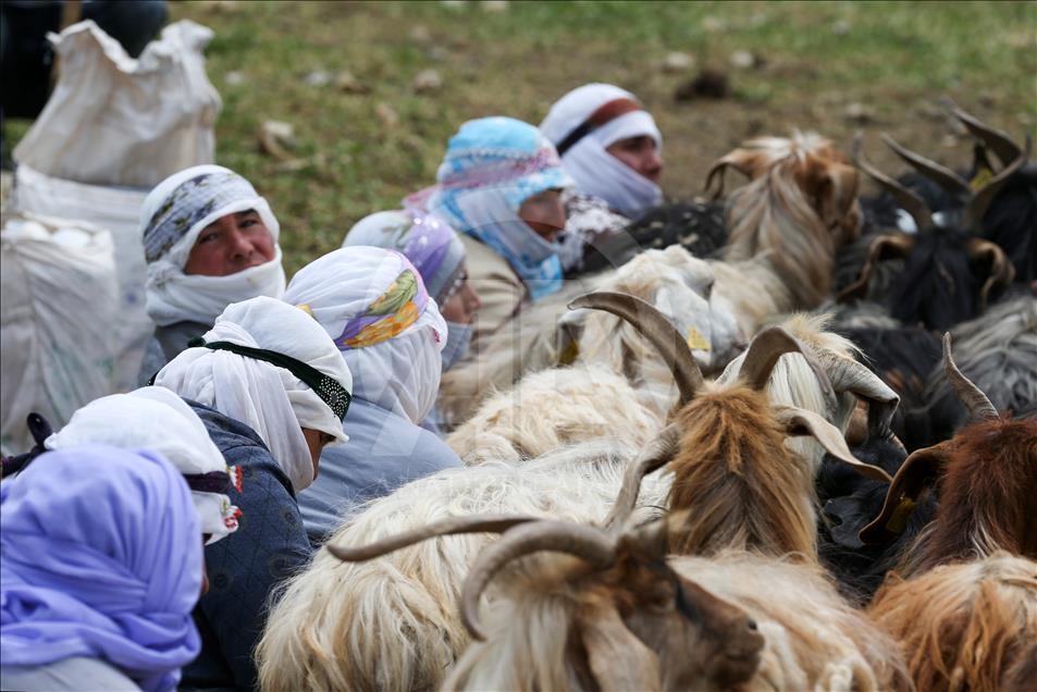"Berivan"ların zorlu yayla mesaisi