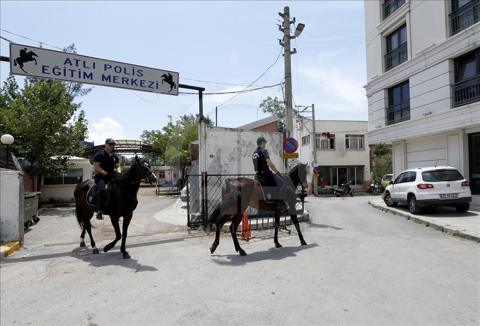 "Dört nala" güvenlik