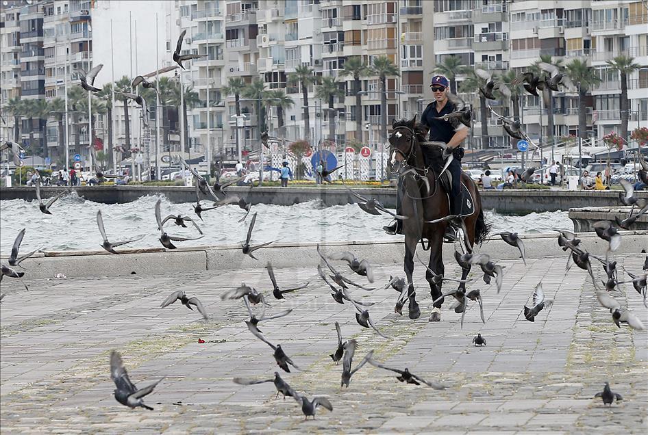 "Dört nala" güvenlik