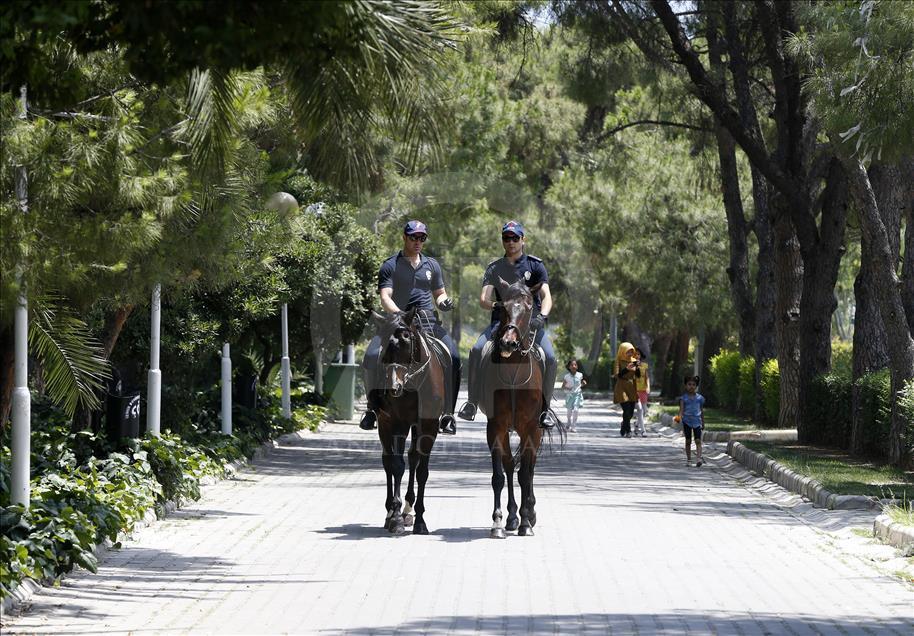 "Dört nala" güvenlik