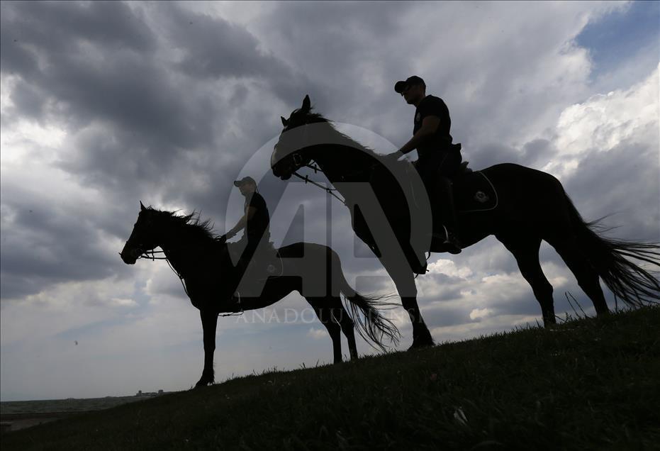 "Dört nala" güvenlik