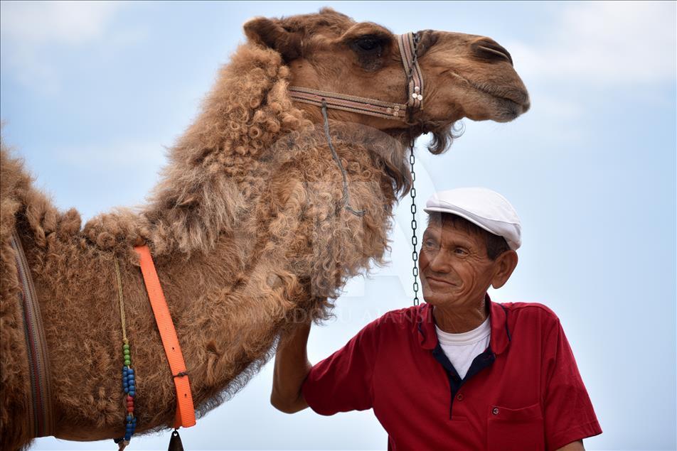 Bastonla yürüyor, deveyle turist gezdiriyor