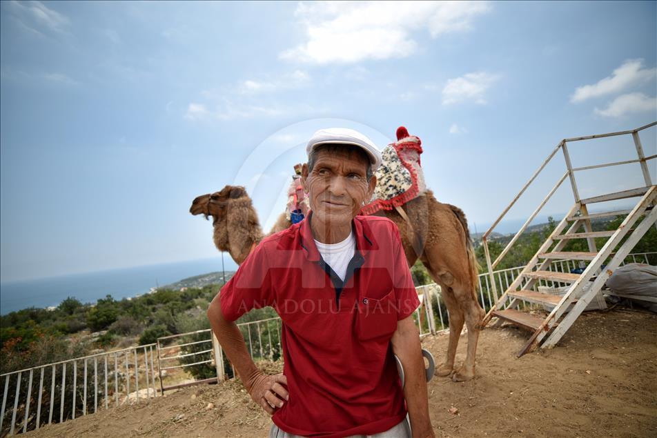 Bastonla yürüyor, deveyle turist gezdiriyor