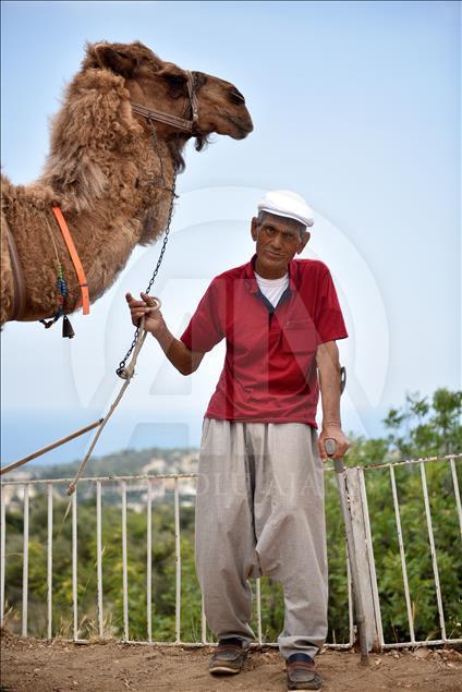 Bastonla yürüyor, deveyle turist gezdiriyor