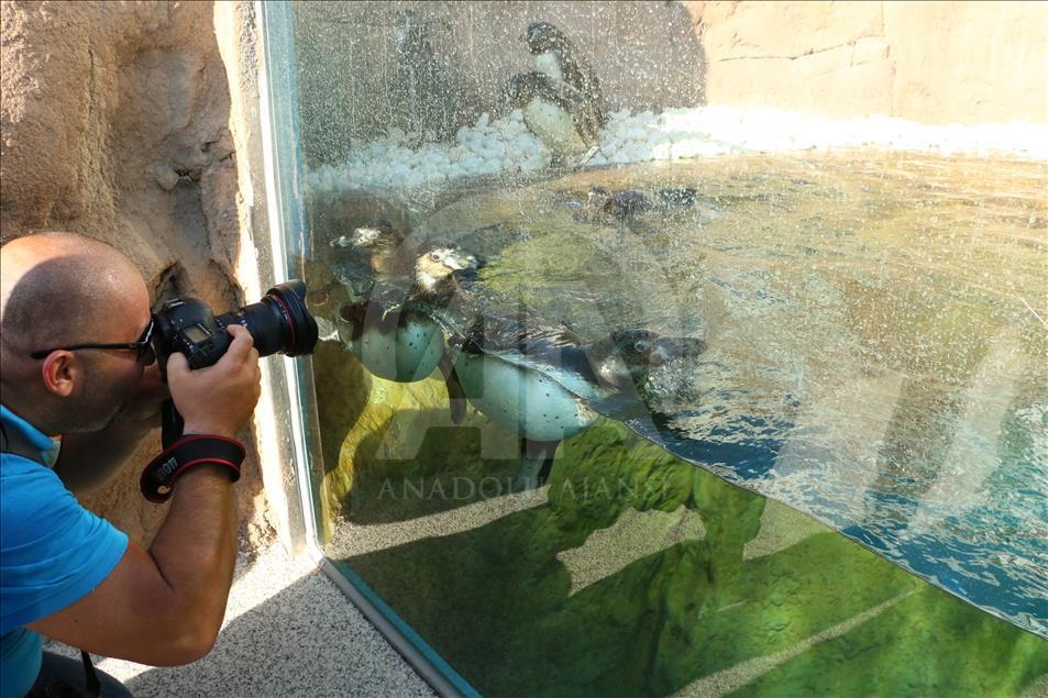 "Türkiye'nin Disneylandı" tamamlanmak üzere