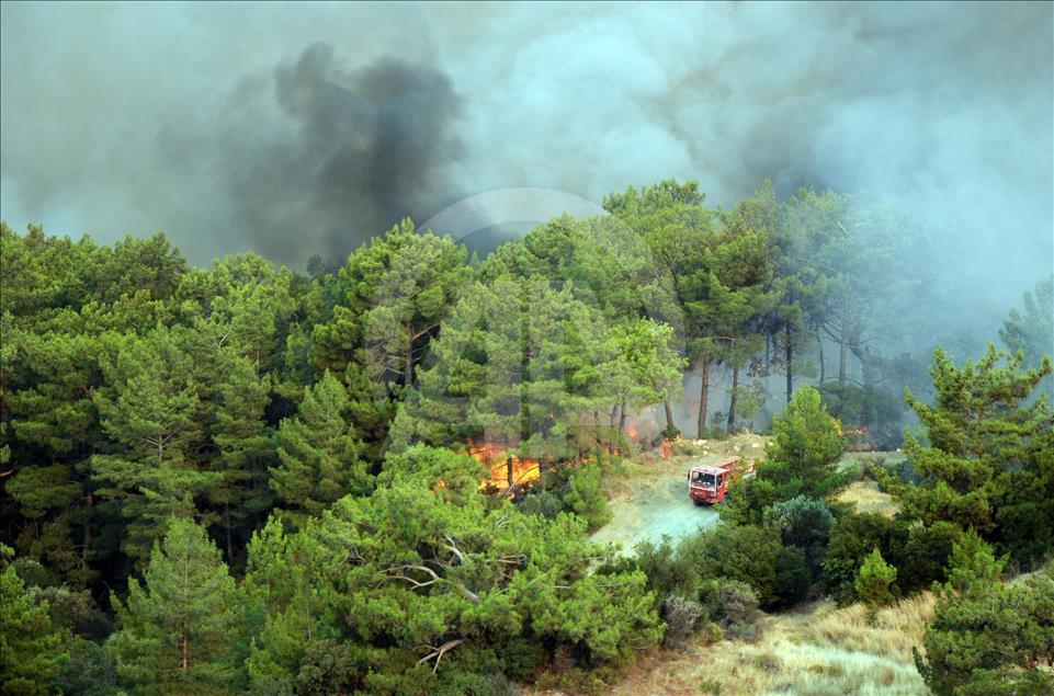 Kumluca'daki orman yangını