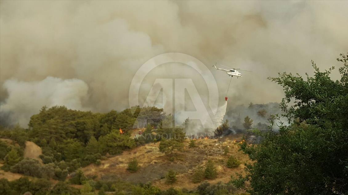 Kumluca'daki orman yangını