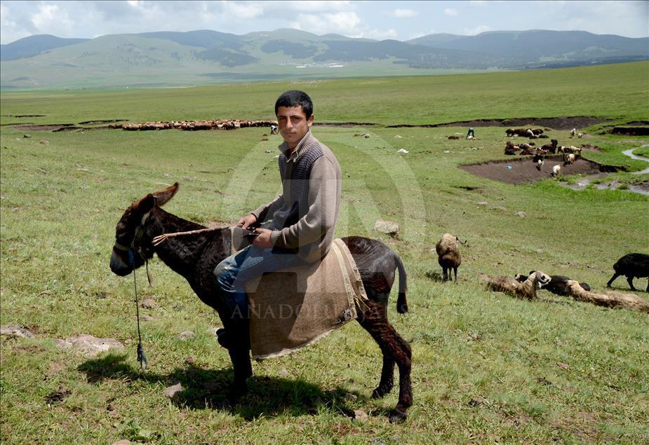 Kaval çalamayan çoban çareyi "cep"te buldu