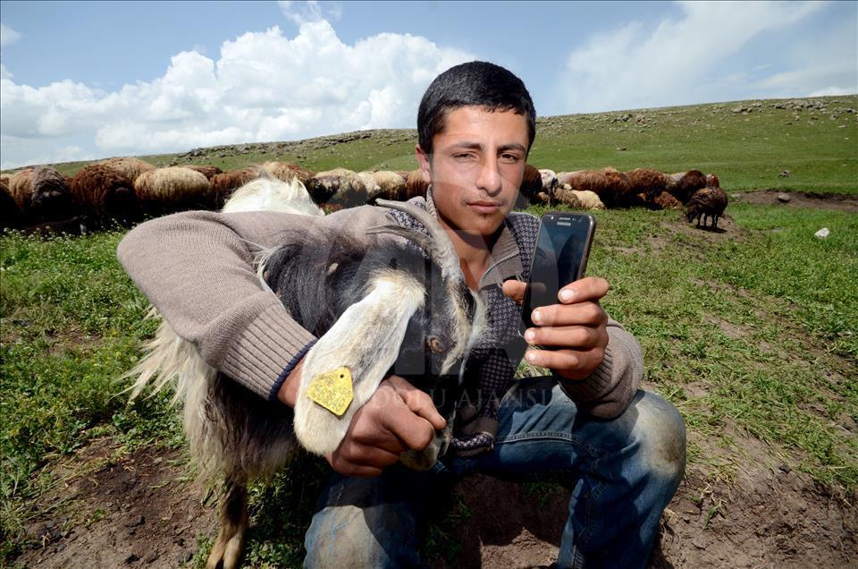 Kaval çalamayan çoban çareyi "cep"te buldu