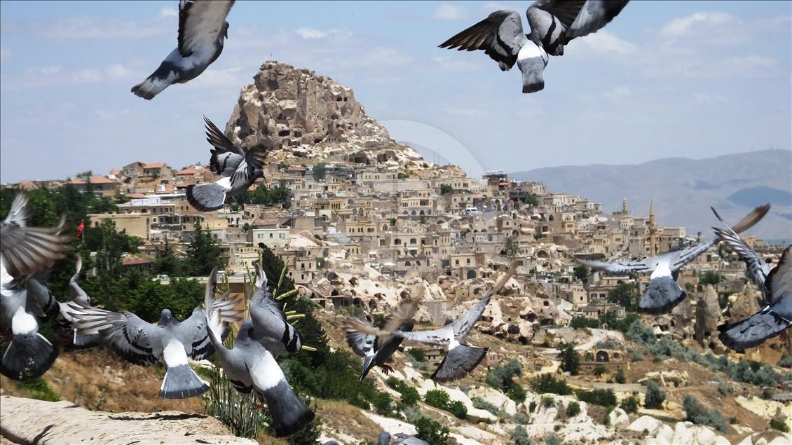 Turizm ve tarıma hizmet için kanat çırpıyorlar