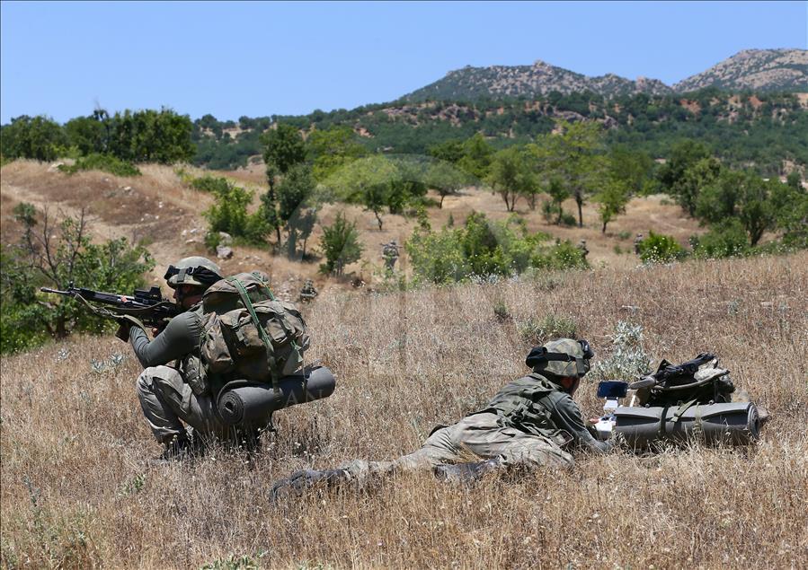 Diyarbakır'daki terör operasyonu