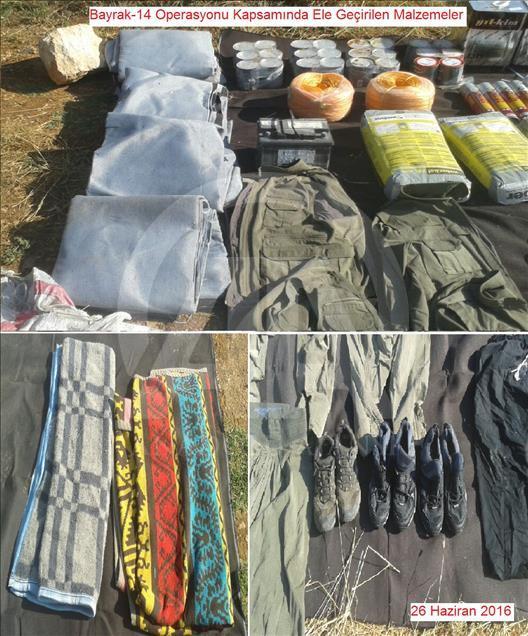 Diyarbakır'daki terör operasyonu