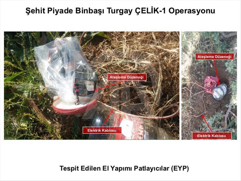 Lice'deki terör operasyonu