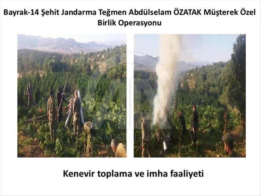 Lice'deki terör operasyonu