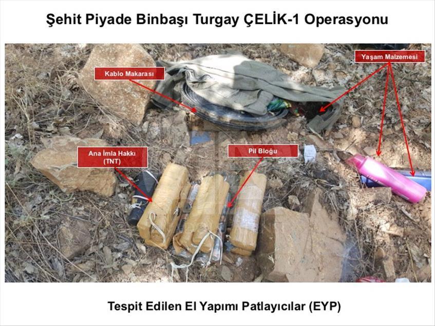 Lice'deki terör operasyonu