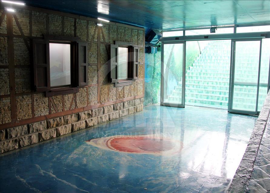 Alt geçit daha çok kullanılsın diye sanat galerisi yapıldı