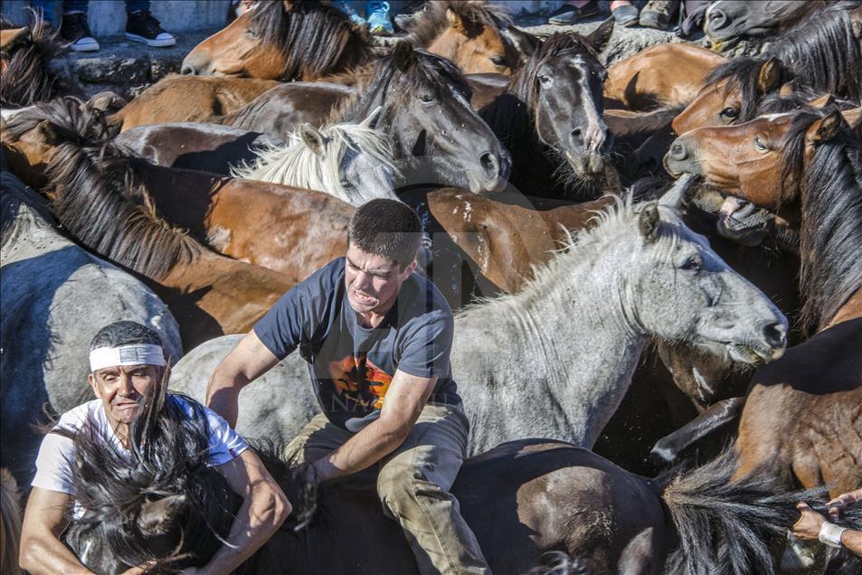 Two "Aloitadores" try to subdue a horse