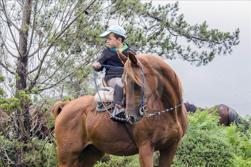 The very young horseman rides with his horse