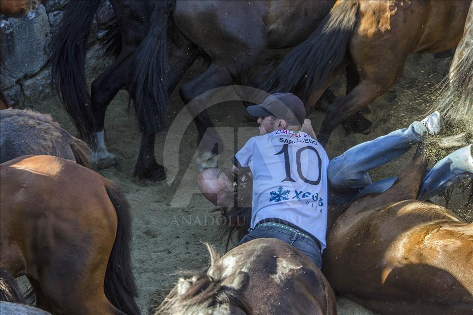 One "Aloitador" falls down with the horse