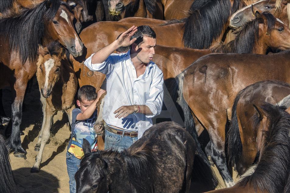 Father and son in the middle of the herd of horses