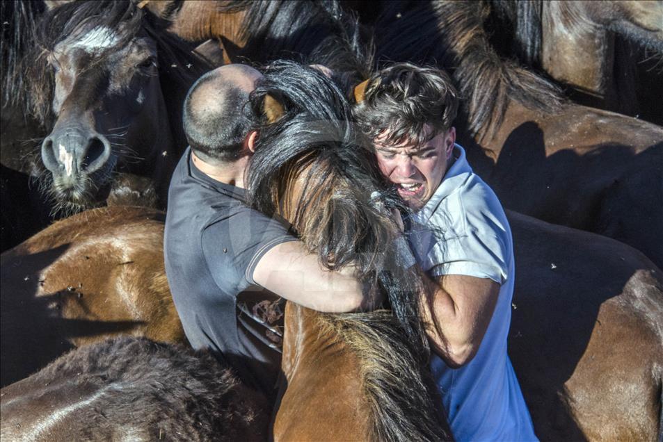 Two "Aloitadores" grab strongly the hair of the horse