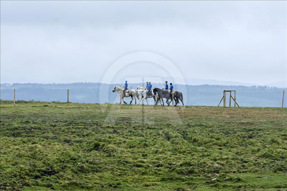 Some horsemen patrol the area searching for wild horses
