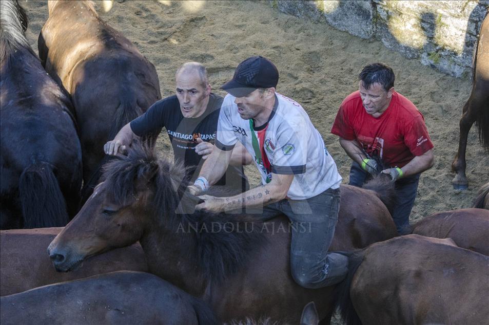 Two "Aloitadores" at the front, and another one in the tail for subdue the horse